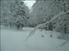 DSC02641
